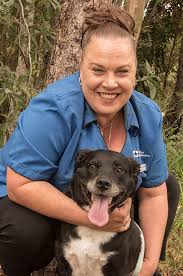 Wicker park veterinary clinic is a practice dedicated to providing the highest quality pet care in a professional and friendly environment. Meet Our Vet Team Park Ridge Animal Hospital