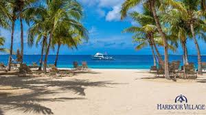 Featuring a view of clear blue water, tropical foliage, and overwater bungalows. These Dream Destination Backgrounds Turn Your Zoom Into A Tropical Vacation
