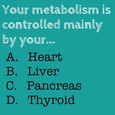 The Answer Is D Thyroid Npti Nasm Fitness Quiz Cpt