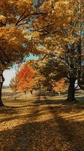 But bringing living nature into your home in the form of plants. Midwest Fall 1080p 2k 4k 5k Hd Wallpapers Free Download Wallpaper Flare