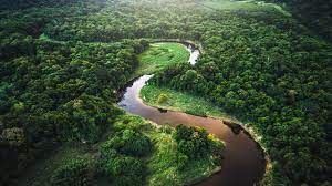 South america is many species of fantastic animals and finest wildlife hot spots on earth with longest continental mountain range in the world. South America Rainforests Rivers And Waterfalls Bbc Bitesize