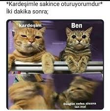 2020 Komik Eglence