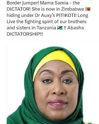 God turn the tables.Who knows that this Tanzanian President will be a  border jumber in Zimbabwe Never boast about tomorrow because you never know  what tomorrow holds.. #China #news #viralchallengevideochallenge  #viralreelschallenge #usa #