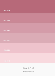 What Is The Difference Between The Colors Pink And Rose? - Quora