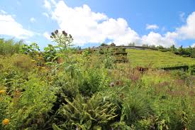 Het project werd opgezet door ben colclough en zijn goede vriend yannick zenhausem. Eden Project In Cornwall Mit Boerne Steffis Schreibsicht