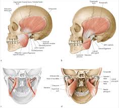 Image result for Trismus
