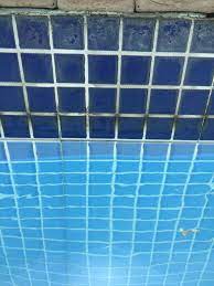 We did not find results for: How Do I Clean These Pool Tiles I Tried Some Grease Removers But They Don T Work Pools