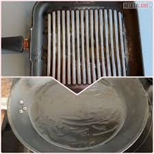Recetas de cigalas a la plancha, cigalas con cebolla, cigalas cocidas y muchas más recetas de cigalas Cigalas A La Plancha Recetaland