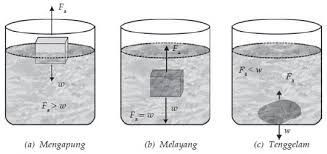 Hukum Archimedes Kelas Xi