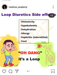 Image result for Loop Diuretic