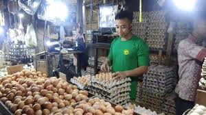 Sebab, permintaan telur ayam selama ramadhan akan tinggi. Harga Telur Ayam Stabil Telur Itik Naik Rp100 150 Banjarmasin Post