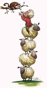 Einstein Amaba A Los Gatos In 2020 Sheep Art Whimsical Art Cat Art