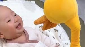 字幕]1996 年Tamiya Williams FW18 F1 RC 汽车开箱套件58179 F103RS 底盘（复古F1  RC）_哔哩哔哩_bilibili