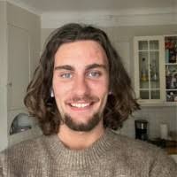 50+ "Ludvigsen" profiles