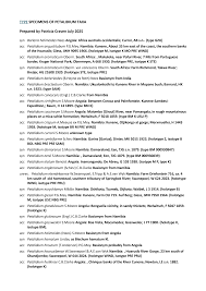 Image result for Petalidium englerianum