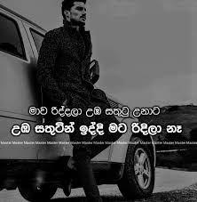 Life, quotes, english statuses, images,fb status,fb pics. 570 Sinhala Quotes Ideas Quotes Love Quotes Fake Love Quotes