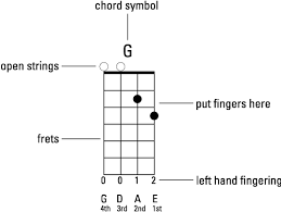 Reading Chord Diagrams For The Mandolin Dummies