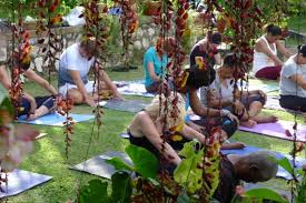 We did not find results for: Yoga In The Hills Happening Again Saturday October 21 Yardedge