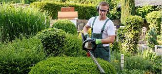 New castle lawn & landscape has been maintaining and servicing customers' properties in berks and surrounding areas for 22 years. Garden Yard Maintenance Service In Newcastle Worker At Low Cost
