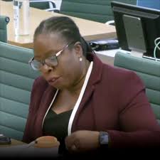 @PauletteHamilto's video Tweet