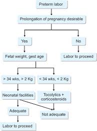 Image result for Preterm Labor Management