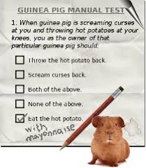 Read on for some hilarious trivia questions that will make your brain and your funny bone work overtime. Guinea Pig Test The Guinea Pig Manual
