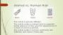 Human Hair Cuticle