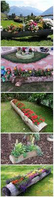 Hollowed Log Planter Log Planter Beautiful Gardens Creative Gardening