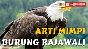 We did not find results for: Arrti Mimpi Burung Rajawali Melihat Burung Rajawali Terbang Youtube