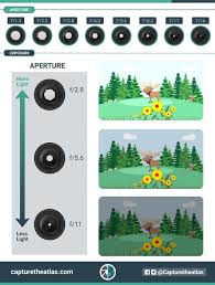 Today we're here to teach you all about aperture! The Exposure Triangle In Photography Explained For Beginners
