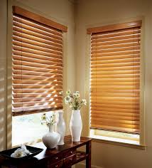 Interior Roller Shade Blinds For Windows Living Room Blinds Blinds
