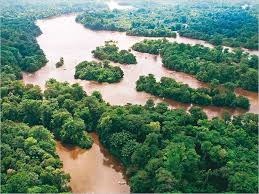 Neben badeurlaub und naturerlebnissen bietet surinam auch einiges an abenteuer. Suriname Im Einbaum Durch Den Urwald Geo