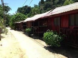 Ми бронювали golden age bodrum hotel, але була заміна і нас повезли в bodrum bay resort 5*. Entrance Picture Of Dumba Bay Resort Pulau Tioman Tripadvisor