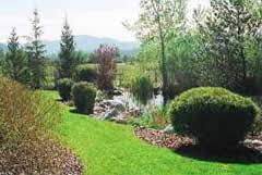 Written by bennett landscape inc. Lawn Maintenance Cumming Dawsonville Alpharetta Buford Ga