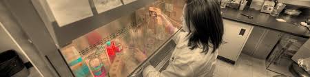 Maybe you would like to learn more about one of these? Setting Up Your Cell Culture Space For Success Biocompare The Buyer S Guide For Life Scientists