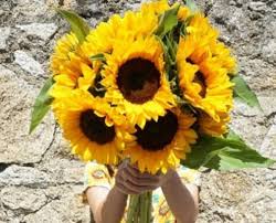 Make a smile on her/ his face with our awesome a small thought of positivity is like a seed of a flower that blossoms throughout the day. Weekly Monthly Flower Bouquet Delivery L Flower Subscriptions Ireland