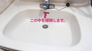 洗面台の内部に密かに潜む黒いやつを除去 お掃除の裏技 お掃除 ハウスキーピング