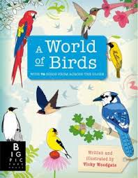 Birds For Ks1 And Ks2 Children Birds Homework Help