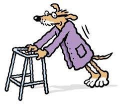 Resultado de imagen de PERRO VIEJO DIBUJO LIBRE