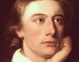 Category Search Test