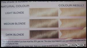 Schwarzkopf Blonde Color Chart Www Bedowntowndaytona Com