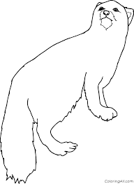 Share it with your friends! Easy Arctic Fox Coloring Page Coloringall