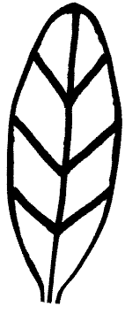 Coloring a turkey is not the best for a child, but it could be a way for them to memorize the main characteristics of this animal. Turkey Feathers Coloring Pages Timeless Miracle Com