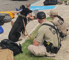 Maybe you would like to learn more about one of these? Bureau Of Land Management Arizona On Twitter 30 Law Enforcement Officers From Bureau Of Land Management Transported Via C130 To Puertorico To Assist With Hurricanemaria Proudtoserve Https T Co Oyouknomxo