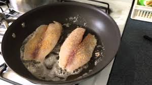 Check spelling or type a new query. Pan Fried Tilapia Fillet Youtube