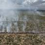 Brazil Sees 58% Drop in Burned Areas in 2025 Following Historic Wildfires