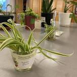 Plant Swap