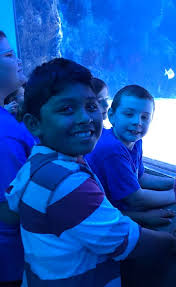 Happy Thanksgiving from all of us at Newport Aquarium! Today, we're feeling  extra thankful for our incredible hosts, our community partners, our annual  members, and every guest who walks through our doors.