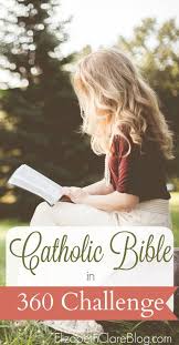 If you have a math or physics background, this is going to i would also pick up the book code (i would try and get through this in a few days, if not over the weekend if possible). Bible In 360 Challenge Read The Catholic Bible In A Year Elizabeth Clare