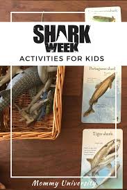 With young children, we must constantly mold behavior and teach acceptable attitudes and actions. Shark Week Educational Activities For Kids Mommy University